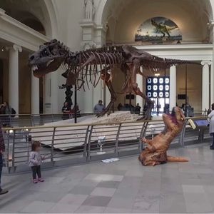 Meet your Posher, Cameron